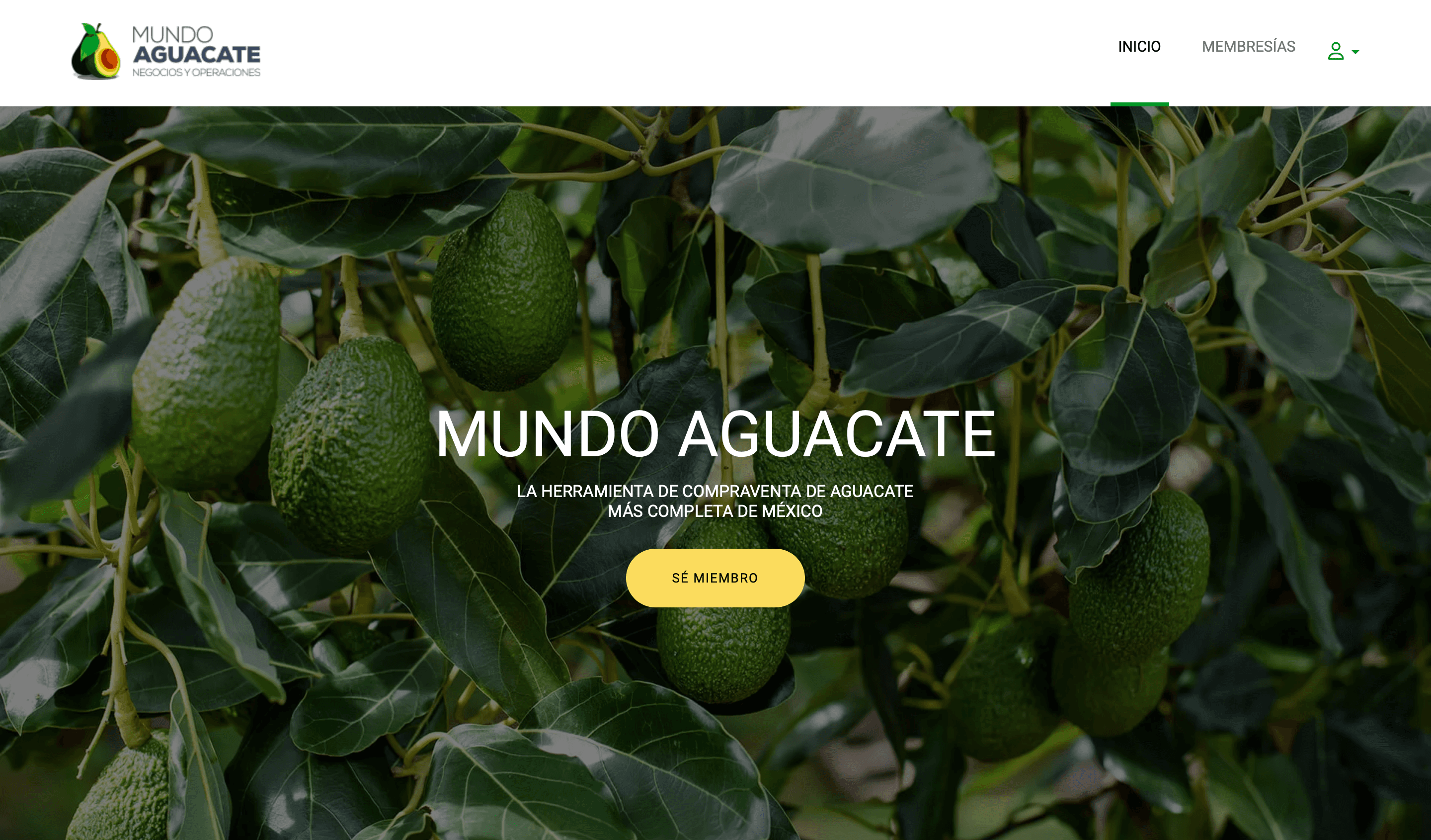 Mundo Aguacate